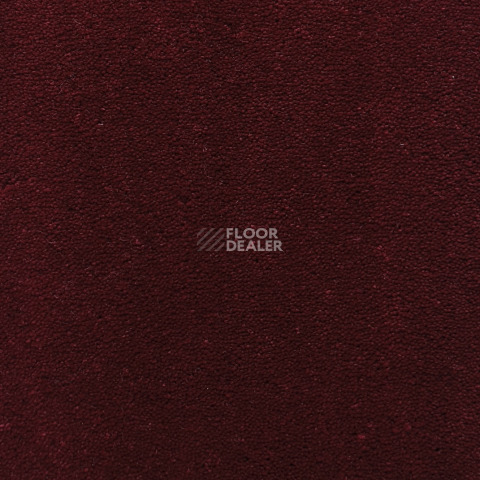 Bonkeel Gleam / Глем Bordo фото 6 | FLOORDEALER